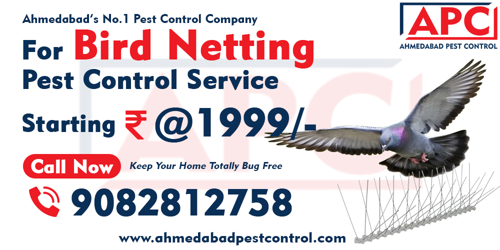 Bird Netting Pest Control